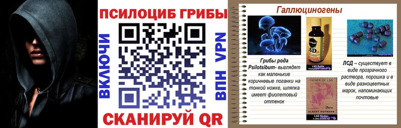 Псилоцибиновые грибы MAGIC MUSHROOMS  mega ССЫЛКА  Шарыпово 